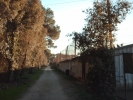 HPIM0740.jpg