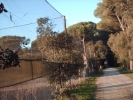 HPIM0741.jpg