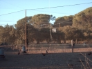 HPIM0742.jpg