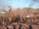 HPIM0744.jpg