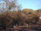HPIM0745.jpg