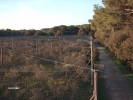 Raw00281.JPG